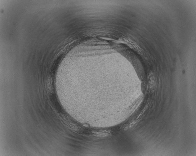 X0000068830359200605261621