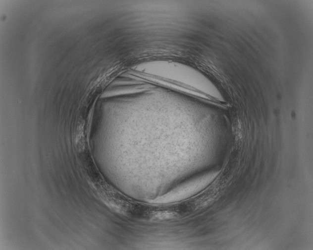 X0000068830360200605261621