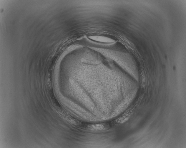 X0000068830361200605261621