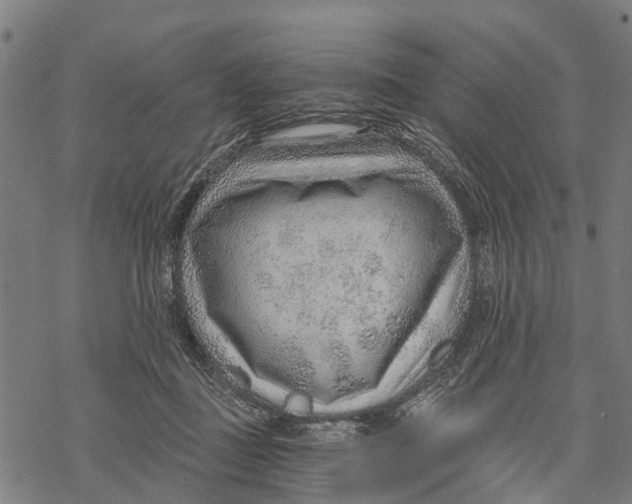 X0000068830363200605261621