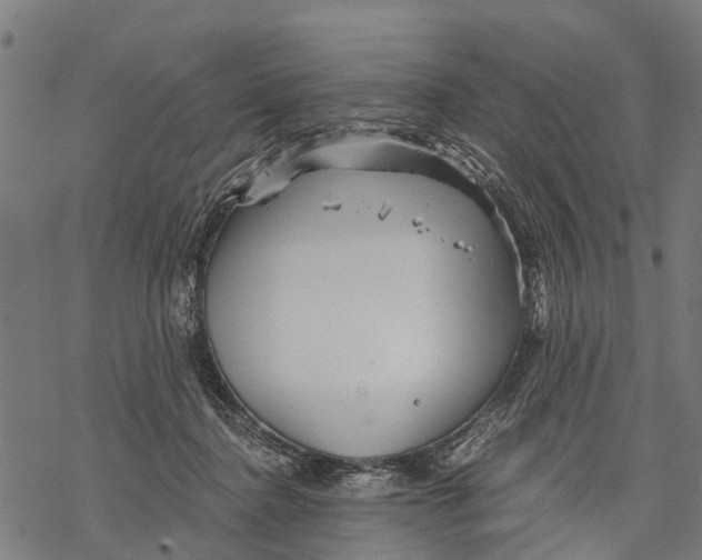 X0000068830364200605261621