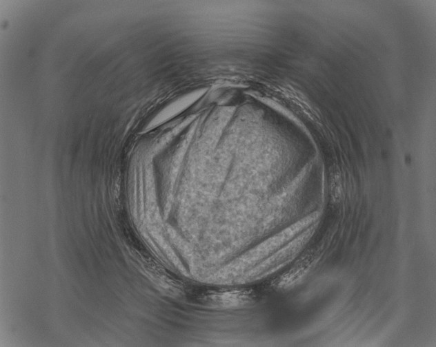 X0000068830365200605261621