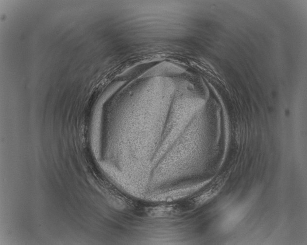 X0000068830366200605261621