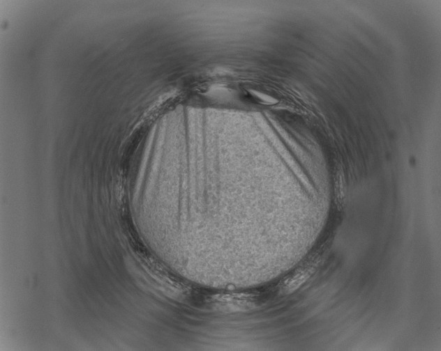 X0000068830367200605261621