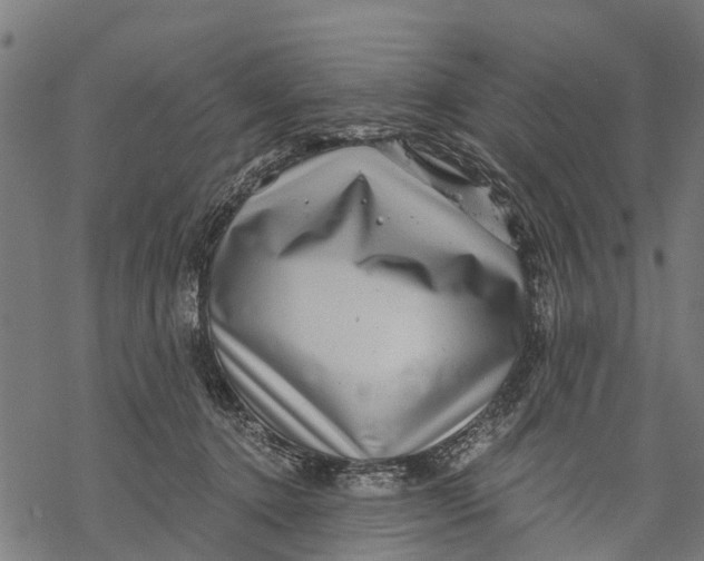 X0000068830368200605261621