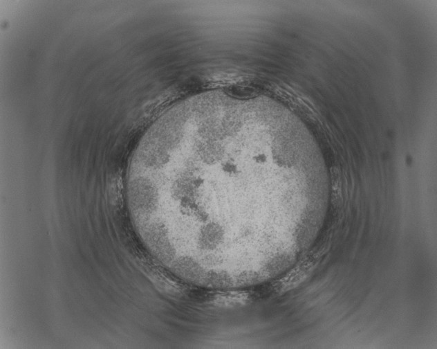 X0000068830369200605261621