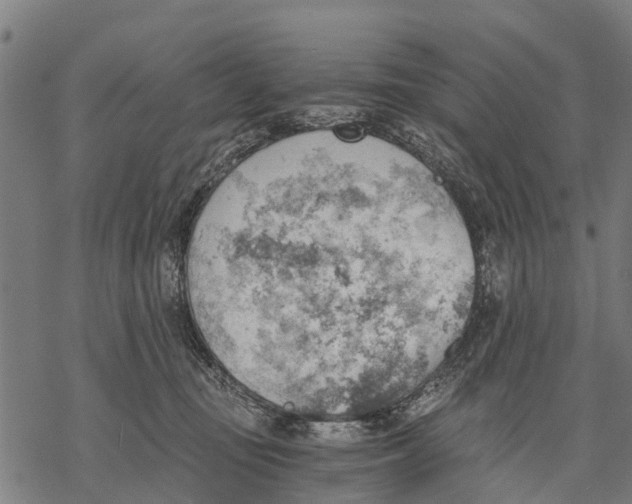 X0000068830371200605261621