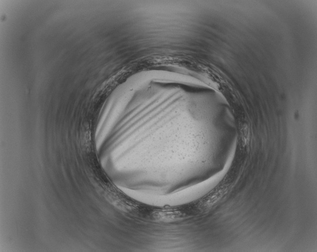 X0000068830372200605261621