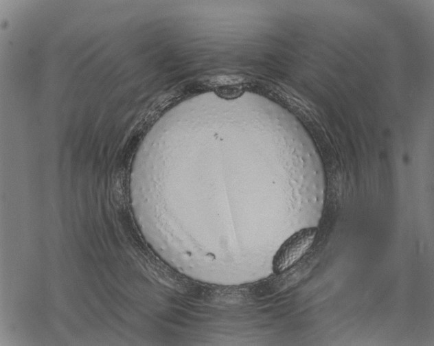 X0000068830373200605261621