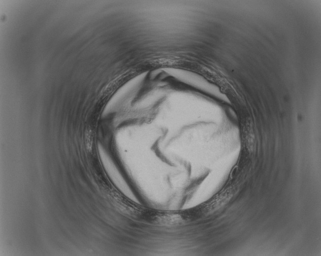 X0000068830374200605261621