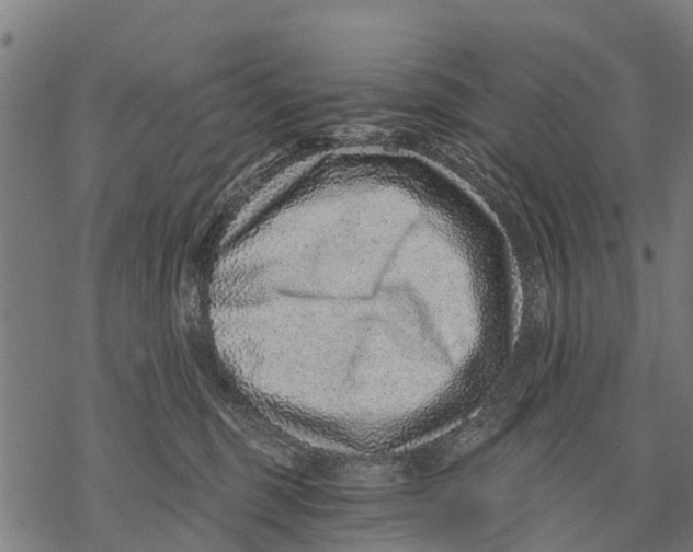 X0000068830375200605261621