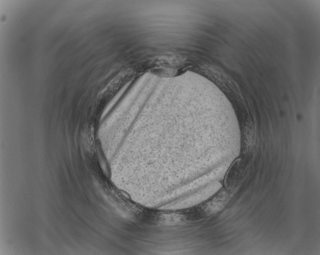 X0000068830376200605261621