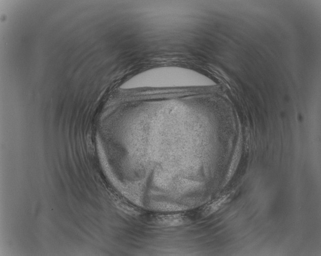 X0000068830377200605261621