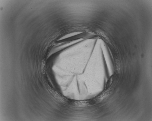 X0000068830378200605261622