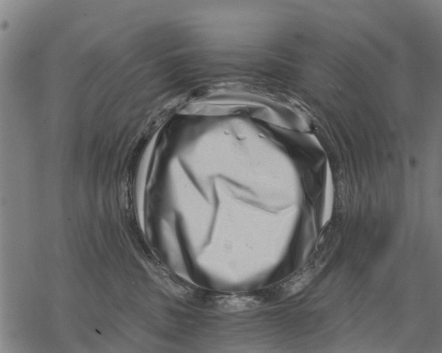 X0000068830379200605261622