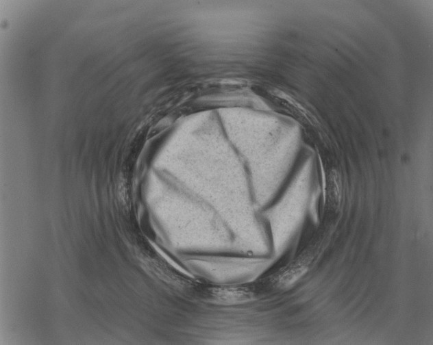 X0000068830380200605261622