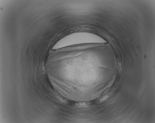 X0000068830381200605261622