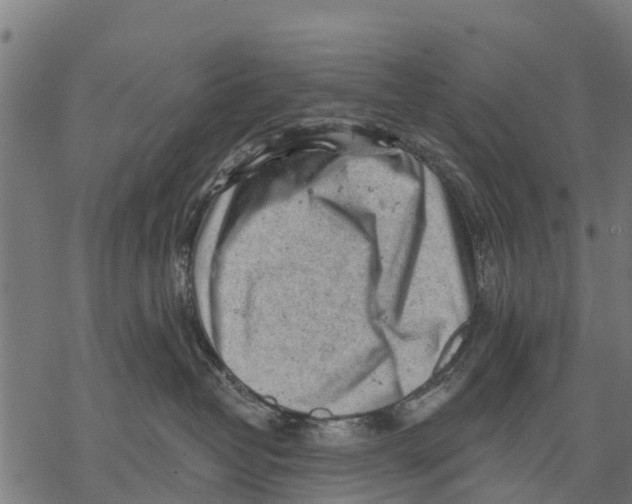 X0000068830382200605261622