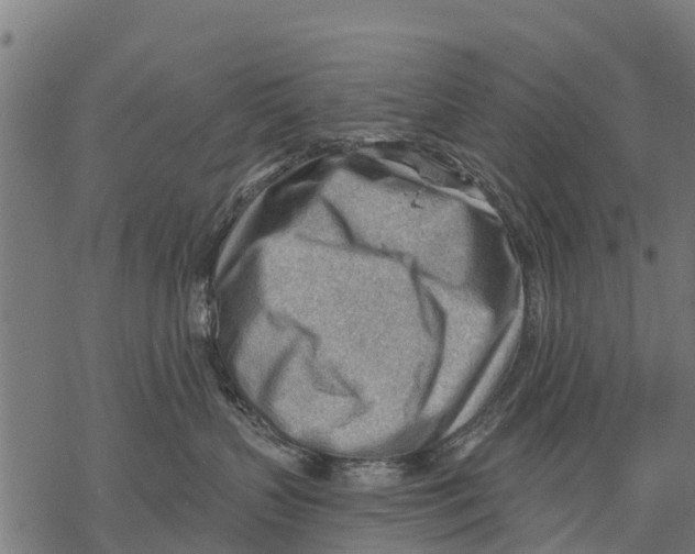 X0000068830383200605261622