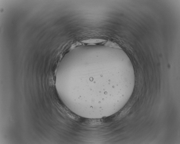 X0000068830384200605261622