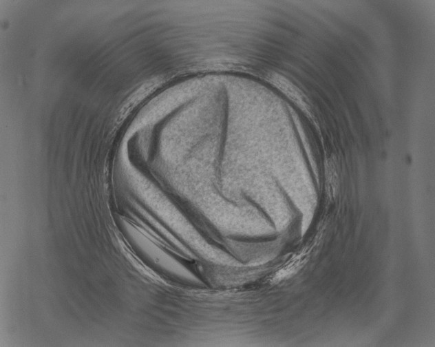 X0000068830389200605261621