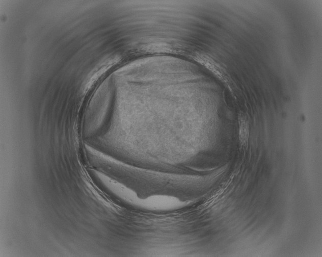 X0000068830390200605261621