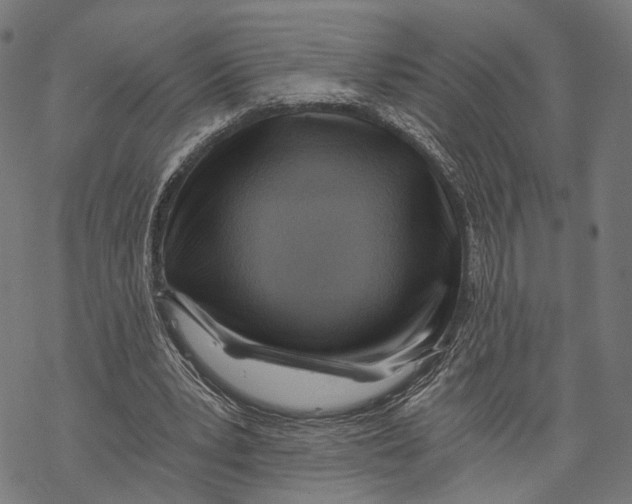 X0000068830391200605261621