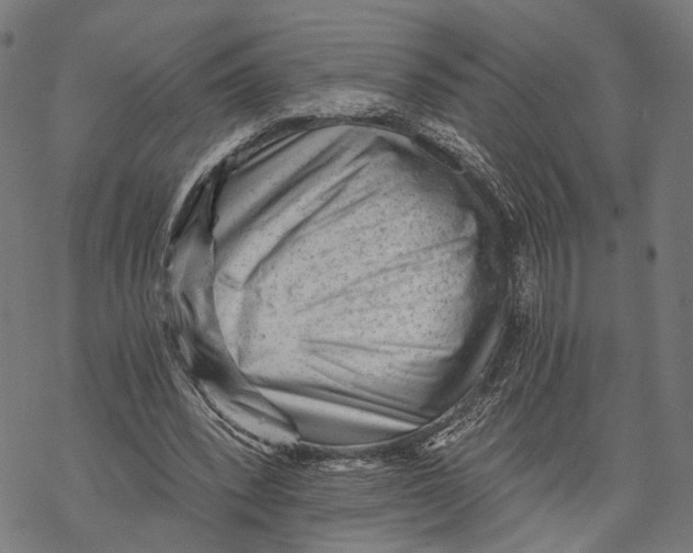 X0000068830392200605261621