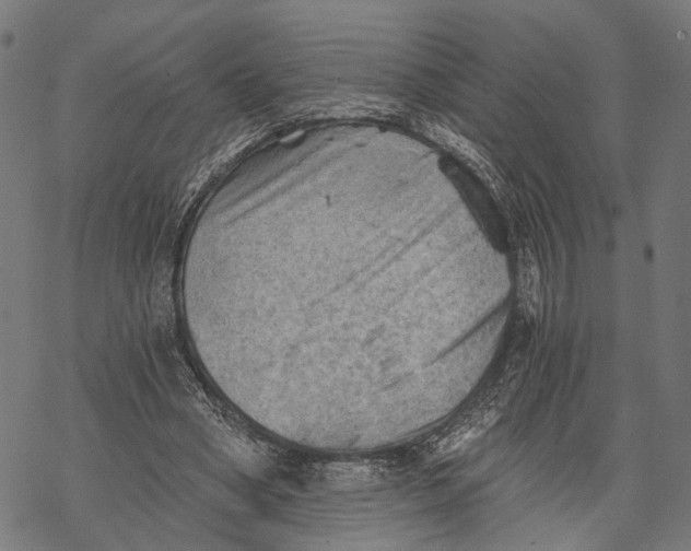 X0000068830394200605261621