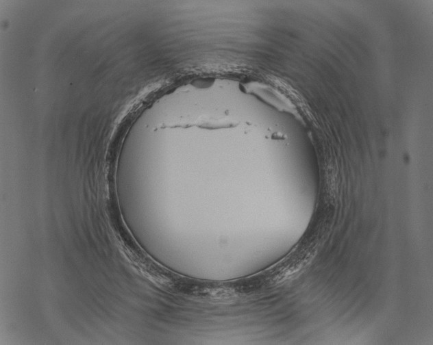 X0000068830395200605261621