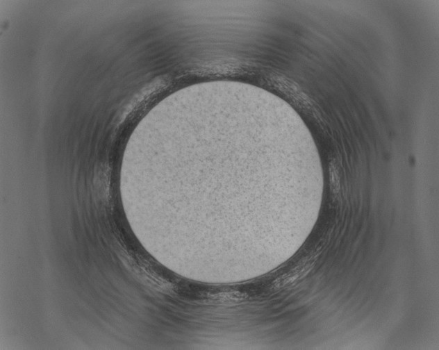 X0000068830396200605261621