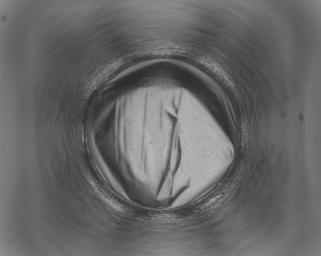 X0000068830397200605261621