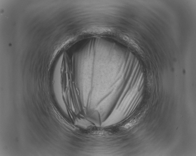 X0000068830399200605261621