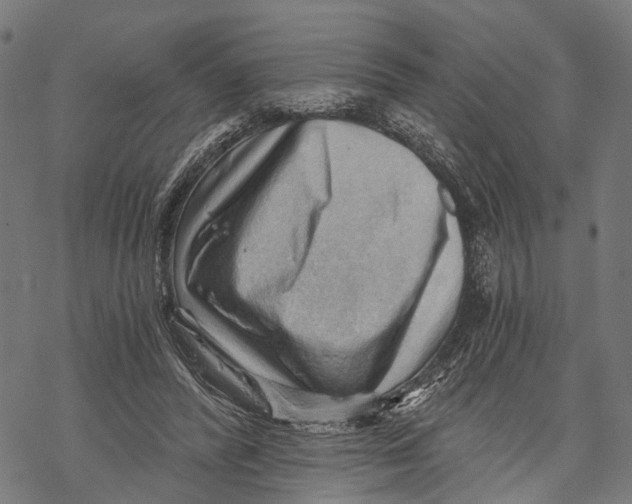 X0000068830400200605261621