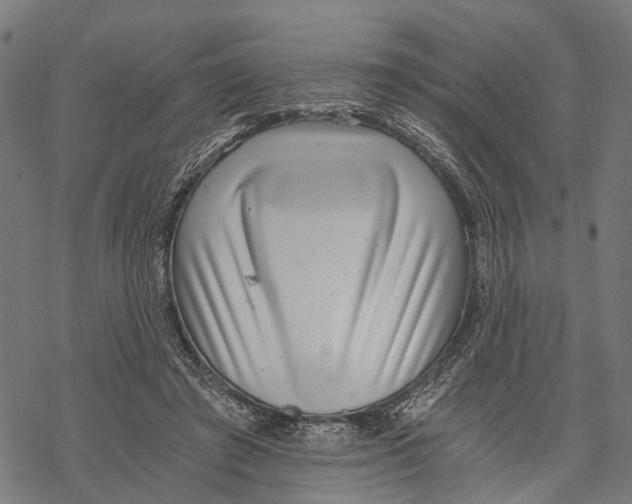 X0000068830401200605261621