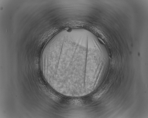 X0000068830402200605261621