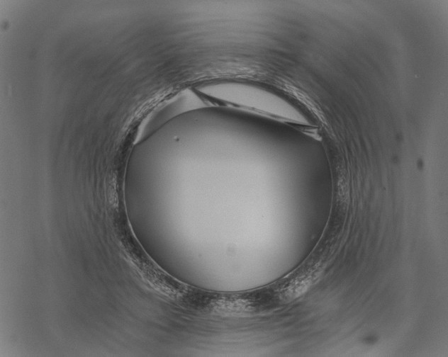 X0000068830403200605261621