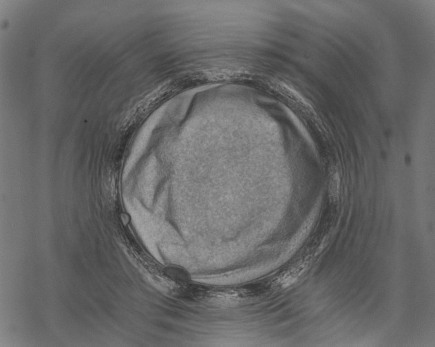 X0000068830405200605261621