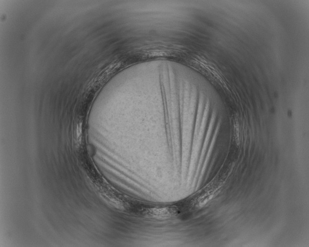 X0000068830406200605261620