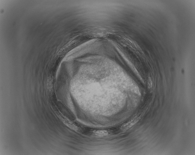 X0000068830409200605261620