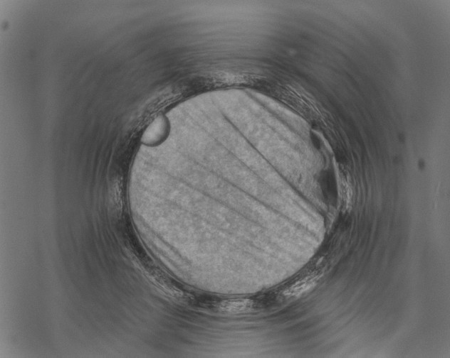 X0000068830410200605261620