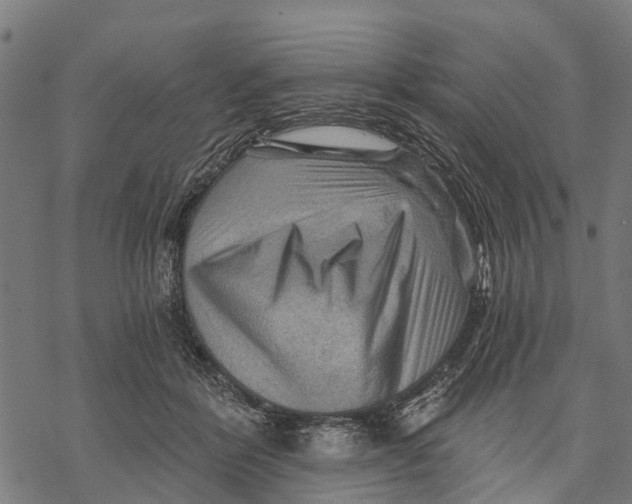 X0000068830412200605261620