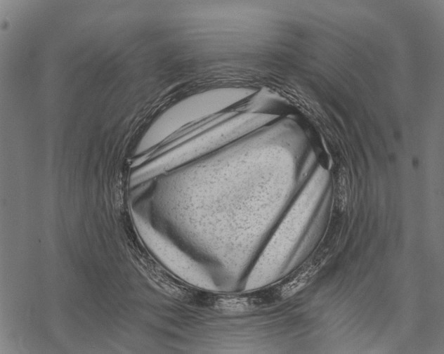 X0000068830413200605261620