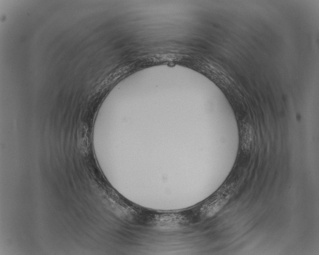 X0000068830414200605261620