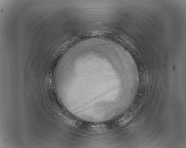 X0000068830415200605261620