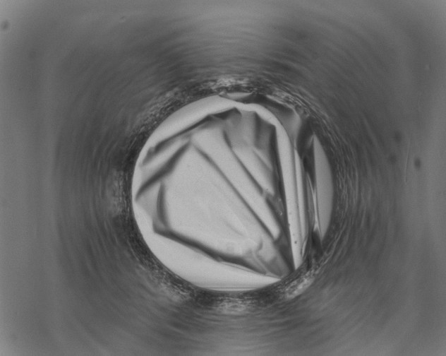 X0000068830416200605261620