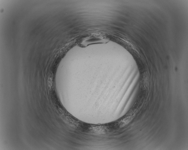 X0000068830417200605261620