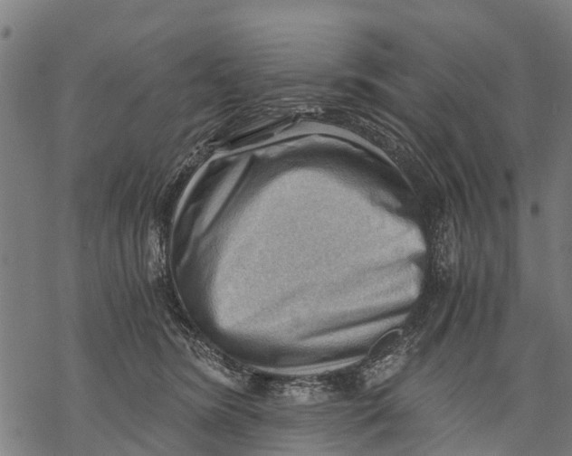 X0000068830420200605261620