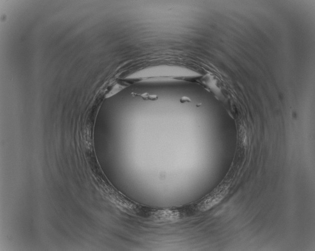 X0000068830421200605261620