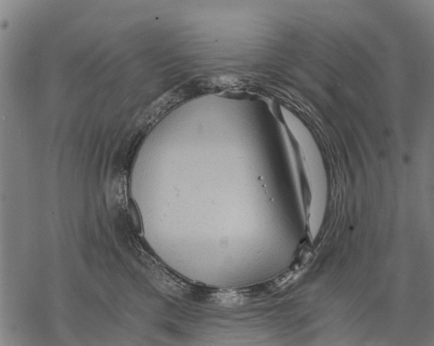 X0000068830425200605261620